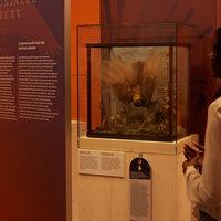 Die Wäscheklammer aus dem Unrechtsstaat